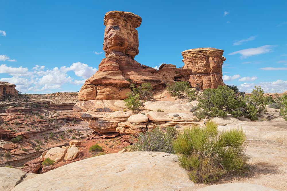 Big Spring Canyon in Needles District-Canyonlands National Park-Utah art print by Alan Majchrowicz for $57.95 CAD